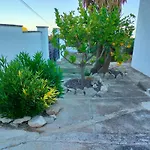 Casa Montgó *